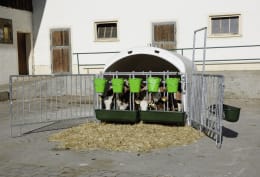 Lifestyle: KERBL Kälberiglu CalfHouse Premium XL für 5 Kälber