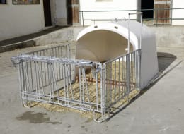 Lifestyle: KERBL Kälberiglu CalfHouse Premium XL für 5 Kälber