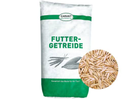 Produktbild: Hafer Ganzkorn ohne Gentechnik Futterhafer für Pferde und andere Tiere