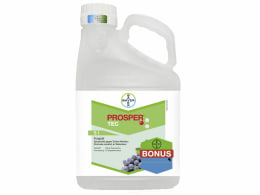 Produktbild: Bayer Prosper TEC
