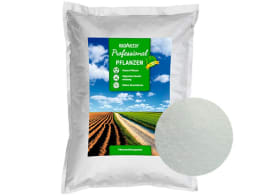 Produktbild: BioAktiv® Professional Pflanzen Biokatalysator aus Bittersalz, für alle Pflanzenarten anwendbar