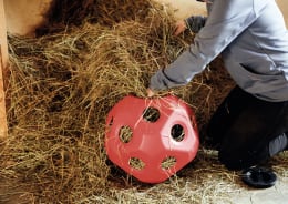 Lifestyle: KERBL Futterball 400 mm rot, Fressöffnungen 19 St./60 mm, für Rinder und Pferde, 3210386