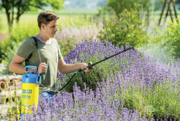 Lifestyle: GLORIA® Drucksprühgerät Hobby exclusiv Gartenspritze, Drucksprüher, Sprühgerät, Druckpumpe