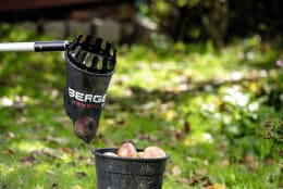 Produktbild: Berger Obstpflücker ArboRapid mit transparentem Fangnetz