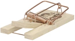 Produktbild: cit® Mausefalle Luna 2 St.