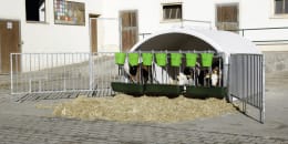 Lifestyle: KERBL Kälberiglu CalfHouse Premium XXL für 7 Kälber, mit Umzäunung, 14540