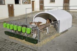 Lifestyle: KERBL Kälberiglu CalfHouse Premium XXL für 7 Kälber, mit Umzäunung, 14540