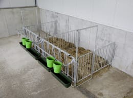 Lifestyle: KERBL Fanggitter für modulare Zaunaufstallung, Kälber