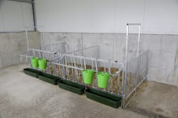 Lifestyle: KERBL Fanggitter für modulare Zaunaufstallung, Kälber