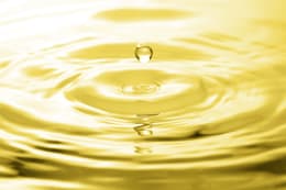 Produktbild: Südgold Pflanzenöl Futteröl, Einzelfuttermittel