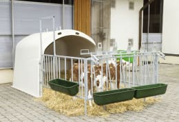 Lifestyle: Modulare Zaunaufstallung für Kälber mit Futtertrögen im Einsatz auf einem Bauernhof