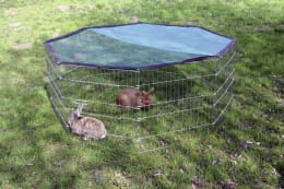 Lifestyle: KERBL Freilaufgehege Ø 143 cm 8-eckig für Kaninchen und Meerschweinchen