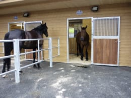 Lifestyle: BELMONDO® Stallmatte Paddock für Außenbereiche, Paddocks