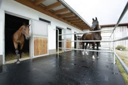 Lifestyle: BELMONDO® Stallmatte Paddock für Außenbereiche, Paddocks