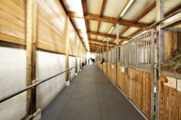 Lifestyle: BELMONDO® Stallmatte Walkpro für Stallgassen, Boxengassen