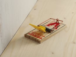 ART_AdditionalAssets
