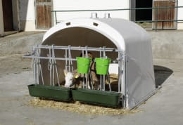 Lifestyle: KERBL Kälberiglu CalfHouse Premium XL für 5 Kälber