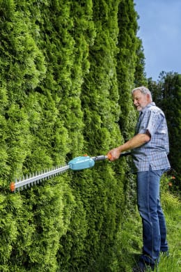 Lifestyle: Mann schneidet hohe Hecke mit GARDENA Akku-Teleskop-Heckenschere THS 42