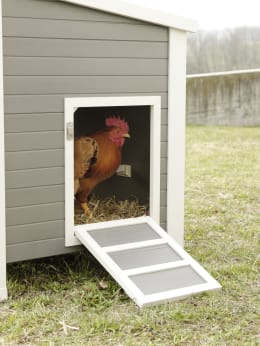 Lifestyle: KERBL Hühnerstall Barney 137 x 73 x 83 cm aus recyceltem Kunststoff, mit 2 Legenestern und 2 Sitzstangen