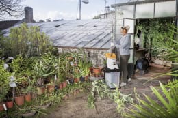 Lifestyle: STIHL Elektro-Gartenhäcksler GHE 135 L