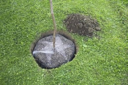 Produktbild: KERBL Wühlmausgitter, Ø Draht 0,6 mm