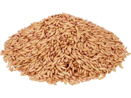 Produktbild: Sommerhafer Waran ZS Rubin Plus lose