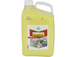Produktbild: Bayer Bandur