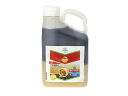 Produktbild: Bayer Laudis