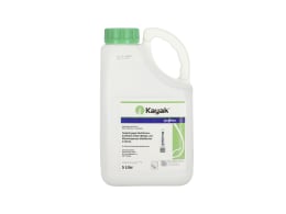 Produktbild: Syngenta KAYAK