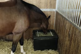 Lifestyle: KERBL Heuraufe HayBox 80,8 x 56 x 61 cm, Fassungsvermögen 8 – 10 kg, für Pferde