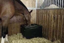 Lifestyle: KERBL Heuraufe HayBox 80,8 x 56 x 61 cm, Fassungsvermögen 8 – 10 kg, für Pferde