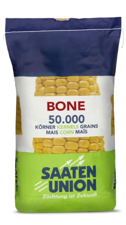 Produktbild: Mais-Saatgut Saaten Union BONE (S 260, K 260)