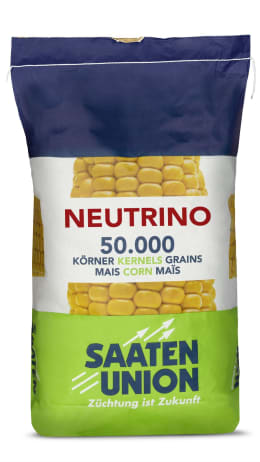 Produktbild: Mais-Saatgut Saaten Union NEUTRINO (S 240)