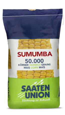 Produktbild: Mais-Saatgut Saaten Union SUMUMBA, 50.000 Körner