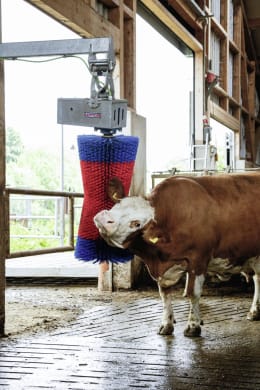 Lifestyle: HappyCow Kuhputzmaschine MaxiSwing