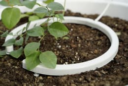 Produktbild: NETAFIM™ Tropfbogen NetBow™ für Microschlauch 3 x 5 mm