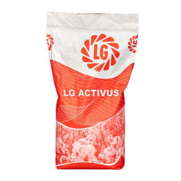 Produktbild: Winterraps Saatgut LG ACTIVUS