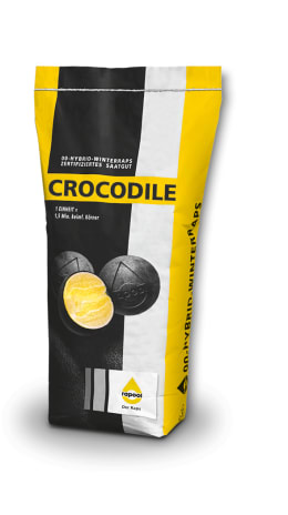 Produktbild: Winterraps Saatgut Rapool CROCODILE (Kohlhernie resistent)