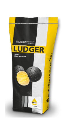 Produktbild: Winterraps Saatgut Rapool LUDGER