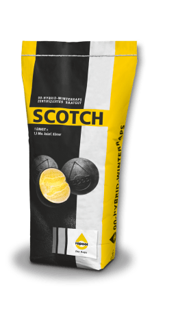 Produktbild: Winterraps Saatgut Rapool SCOTCH