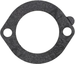 Produktbild: Briggs & Stratton Luftfilterdichtung