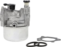 Set: Briggs & Stratton Schwimmervergaser, mit AutoChoke System und Dichtungen, für Motor Serie 12