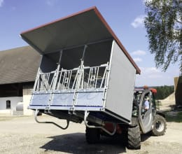 Lifestyle: Kälberbox mit 3 Liegeplätzen 160 x 100 cm