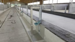 Lifestyle: Beton- und Fundamentarbeit