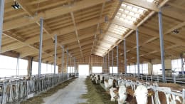 Lifestyle: Milchviehstall, Gebäudehülle, komplett schlüsselfertig