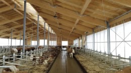 Lifestyle: Milchviehstall, Gebäudehülle, komplett schlüsselfertig
