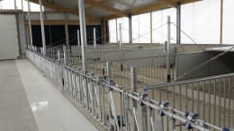Lifestyle: Kälberstall/Jungviehstall, Gebäudehülle/komplett schlüsselfertig