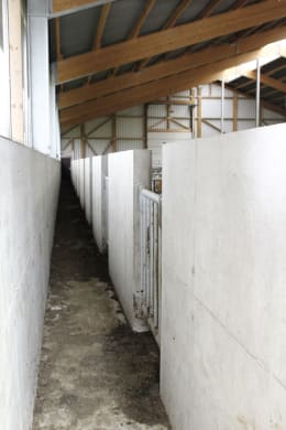 Lifestyle: Bullenstall, Gebäudehülle/komplett schlüsselfertig