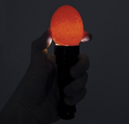 Produktbild: KERBL LED-Schierlampe 150 lm, batteriebetrieben
