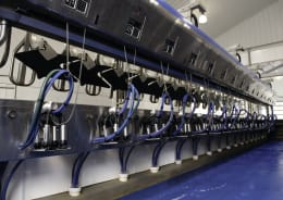 Lifestyle: Parallelmelkstand